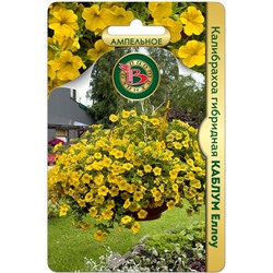 Калибрахоа гибридная Каблум Еллоу