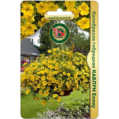 Калибрахоа гибридная Каблум Еллоу