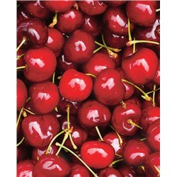 Саженцы Вишня Бирюсинка, арт.: 67