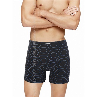 Трусы мужские GS8046 Gentlemen шорты