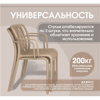 Стул SHT-S173-1
                        капучино ral 1019