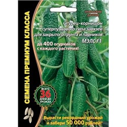 Семена Огурец МЭЛС корнишон F1, арт.: 2218
