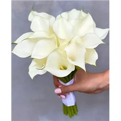 Луковицы Калла Ментол, арт.: 5574