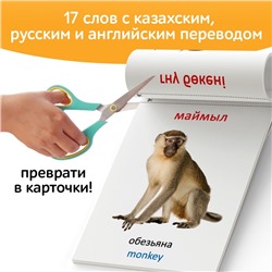 Книга по методике Г. Домана «Животные Африки», на казахском языке