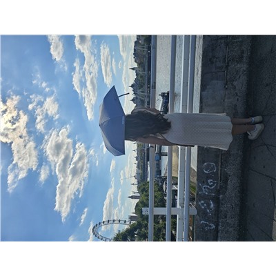 L924-4274 BlueChambray (Синий) Зонт женский механика Fulton