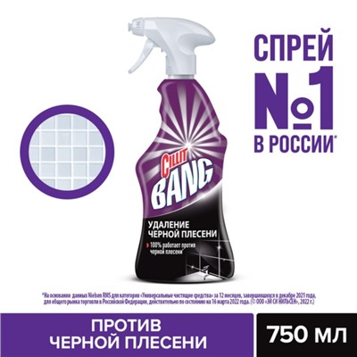 Средство для удаление черной плесени, Cillit Bang, распылителем, 750 мл