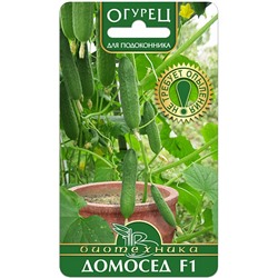 Семена Огурец Домосед F1, арт.: 9493