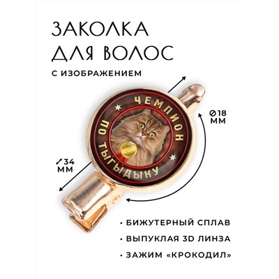 HZF-0362 Заколка Чемпион по тыгыдыку