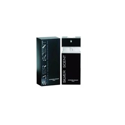 Туалетная вода BOGART Silven Scent 100мл edt муж