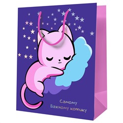 Пакет подарочный 18*23*10см MESHU "Самому важному котику" MS_52095/12/Китай