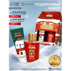 Новогодний подарочный набор косметики «Тепла и уюта»: гель для душа 110 мл и крем для рук 30 мл, URAL LAB