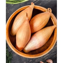 Лук семейный (шалот) Лонгор, арт.: 73035