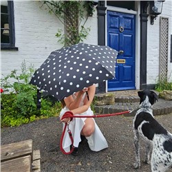 L501-4479 SmileySpot (Смайлы) Зонт женский механика Fulton