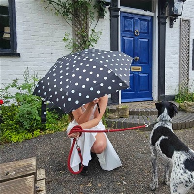 L501-4479 SmileySpot (Смайлы) Зонт женский механика Fulton