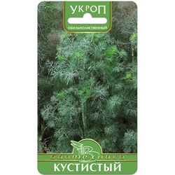 Укроп Кустистый
