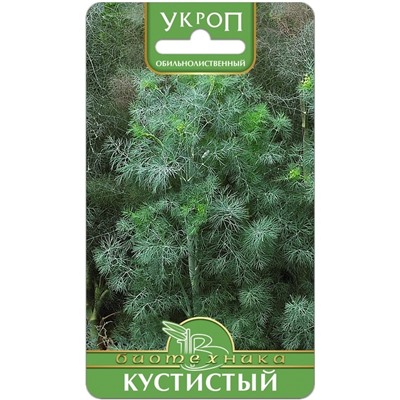 Укроп Кустистый