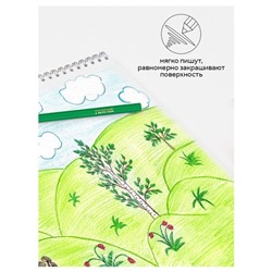 Карандаши цветные пластиковые 36 цветов «Гамма. Мультики», заточенные, ПВХ, европодвес (251220214)