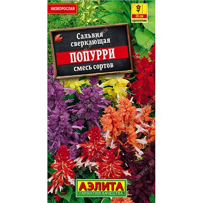 1589 Сальвия Попурри, смесь сортов 0,1гр