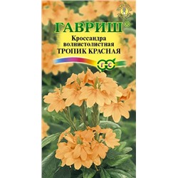 Семена Кроссандра Тропик красная, арт.: 7662
