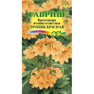 Семена Кроссандра Тропик красная, арт.: 7662