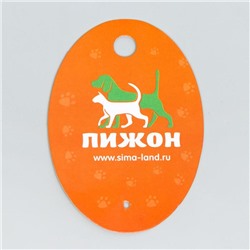 Игрушка для собак, светящаяся в темноте, «Шар с полосками», 6.5 см