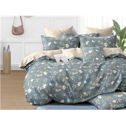 КПБ поплин Pure Cotton PC Клео <PC-278>