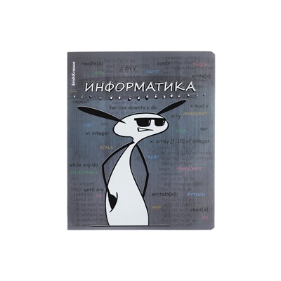 Тетрадь предметная 48 листов в клетку ErichKrause «Чубрик.Информатика», пластиковая обложка