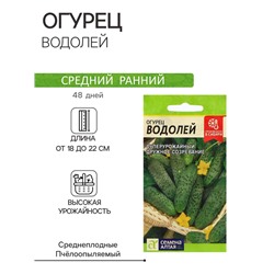 Семена Огурец "Водолей", 0,3 гр.