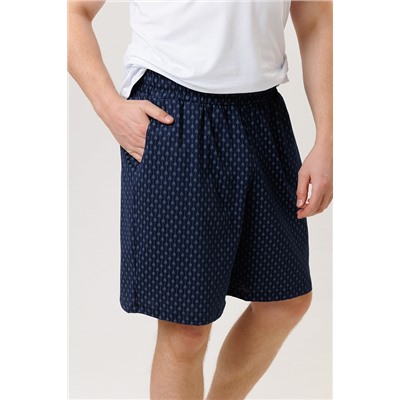 Мужские шорты 1942/5 / Синий