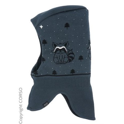 Schlupfmütze,Waschbär