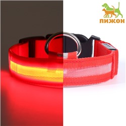 Ошейник с подсветкой размер XL, ОШ 52-60×2.5 см, 3 режима свечения красный