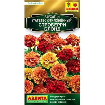 Бархатцы Строберри блонд отклоненные, арт.: 71263