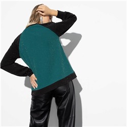 Свитшот, Фантазия на тему (яркая)