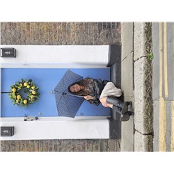 L918-4219 Beehive (Пчелы) Зонт женский механика Fulton