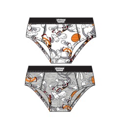 Трусы-брифы для мальчика, 2 шт в комплекте