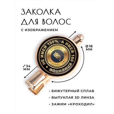 HZF-0118 Заколка Не имей  процентов