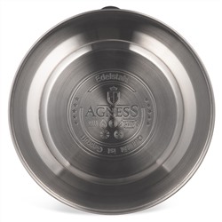 ЧАЙНИК AGNESS СО СВИСТКОМ, 3,1 Л