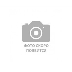 Гравюра А5 Золоту ДЖИП в пакете с ручкой Г-2623/24/Россия
