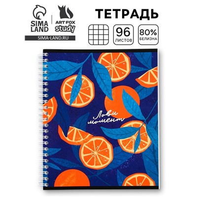 Тетрадь в клетку, 96 л., А5, на спирали, блок №2 «Лови момент»