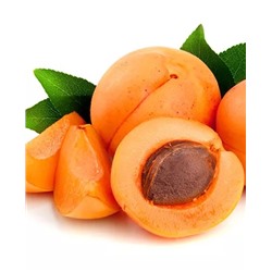 Саженцы Абрикос Лель, арт.: 69206