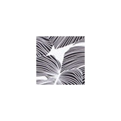 Купальник №L253-7 2025 Chantemely Дроп совместный