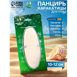 Панцирь каракатицы для птиц 10-12 см, белый