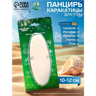Панцирь каракатицы для птиц 10-12 см, белый