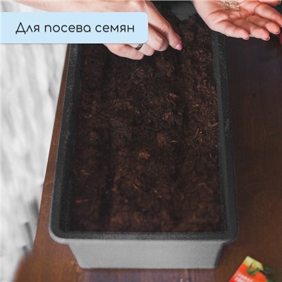 Ящик для рассады, 50×20×10 см, 6 л, пластик, цвет МИКС, «Урожай-3 м»