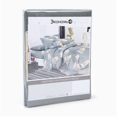 Постельное бельё 2 сп Экономь и Я "Перо" 173*215см, 175*214см, 50*70см-2шт, 60г/м2, микрофибра