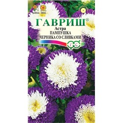 Семена Астра Пампушка черника со сливками, арт.: 6842