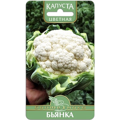 Капуста цветная Бьянка