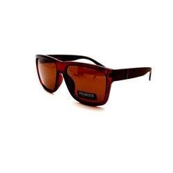 Мужские поляризационные очки - Polarized 2029 c33