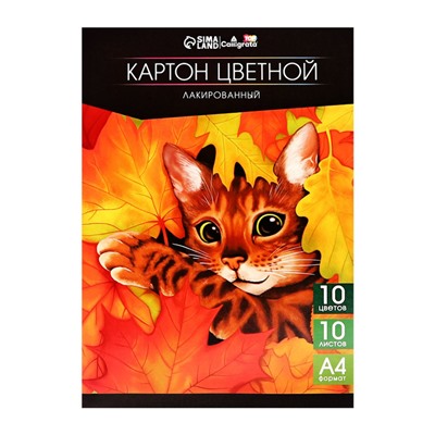 Картон цветной лакированный А4, 10 листов, 10 цветов, Calligrata TOP, односторонний, 200 г/м2, в папке