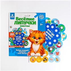 Игра на липучках «Обучающий круг»